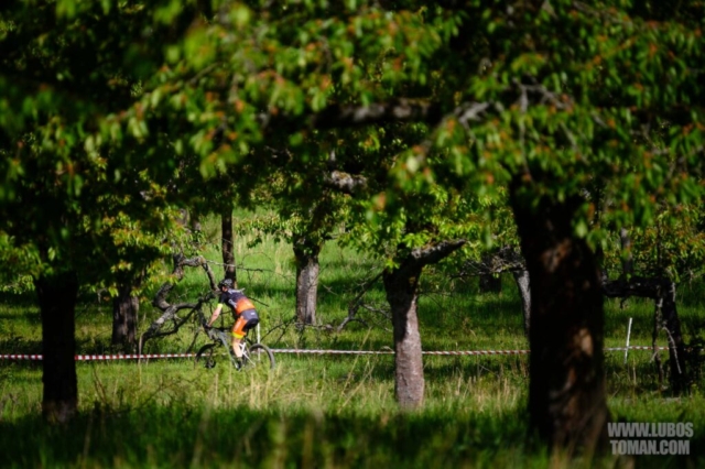 VelkaCenaTouskova2024_11