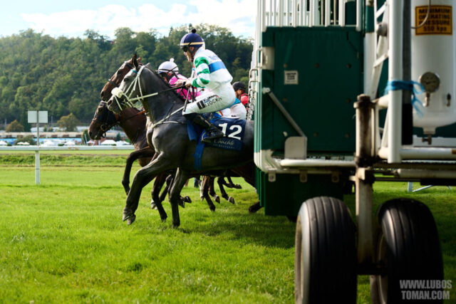 Prague Champions Day 2025