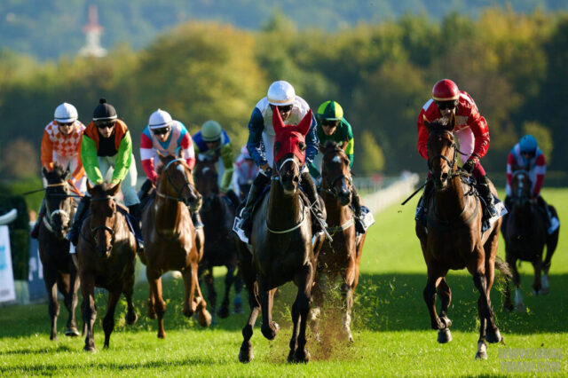 Prague Champions Day 2025