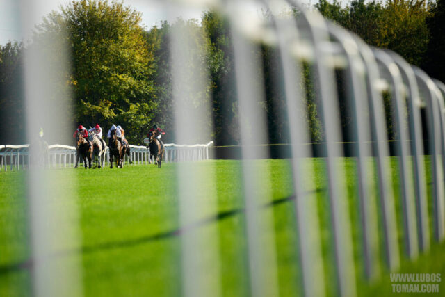 Prague Champions Day 2025