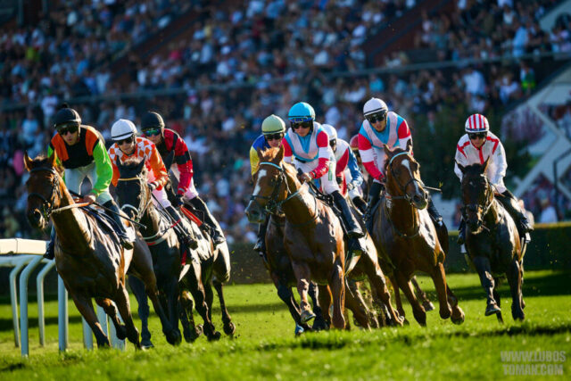 Prague Champions Day 2025