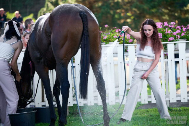 Prague Champions Day 2025