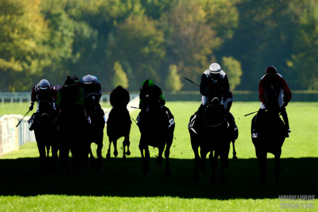 Prague Champions Day 2025