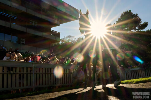 Prague Champions Day 2025