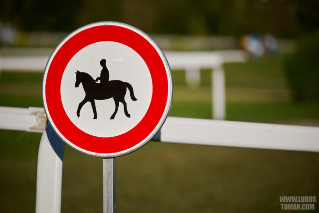 Prague Champions Day 2025