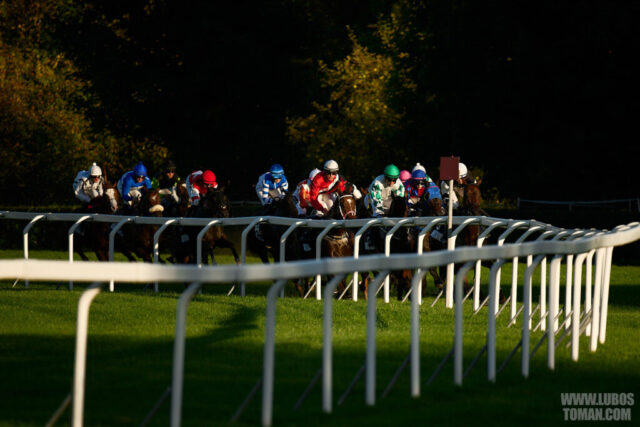 Prague Champions Day 2025