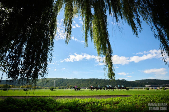 Prague Champions Day 2025