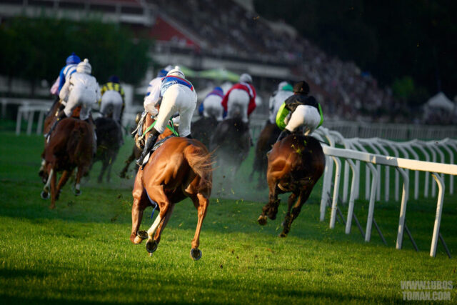 Prague Champions Day 2025