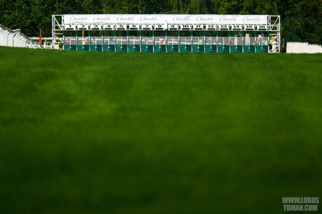 Prague Champions Day 2025