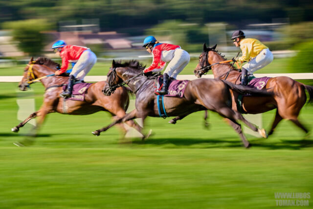 Prague Champions Day 2025