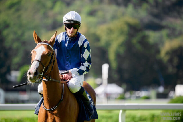 Prague Champions Day 2025