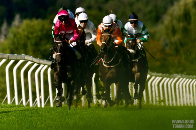 Prague Champions Day 2025