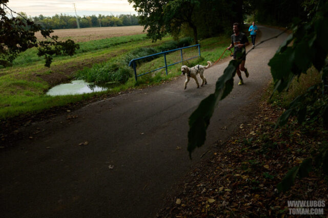 Dog Biatlon Brandys nad Labem 2025