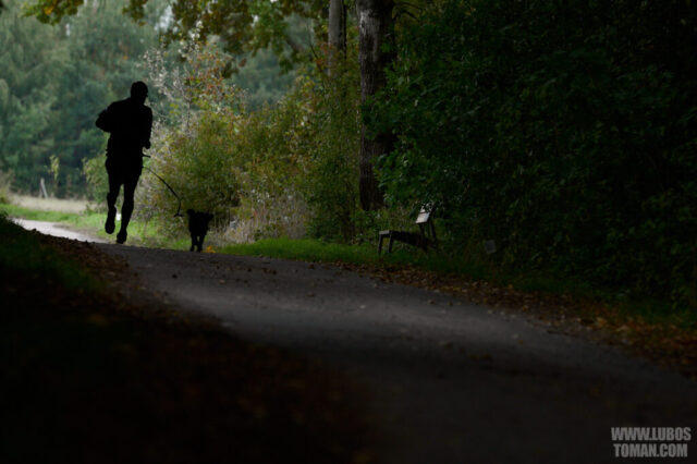 Dog Biatlon Brandys nad Labem 2025