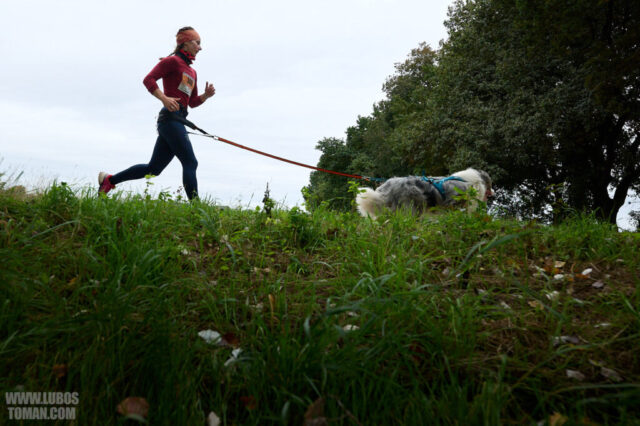 Dog Biatlon Brandys nad Labem 2025