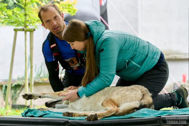 Dog Biatlon Brandys nad Labem 2025