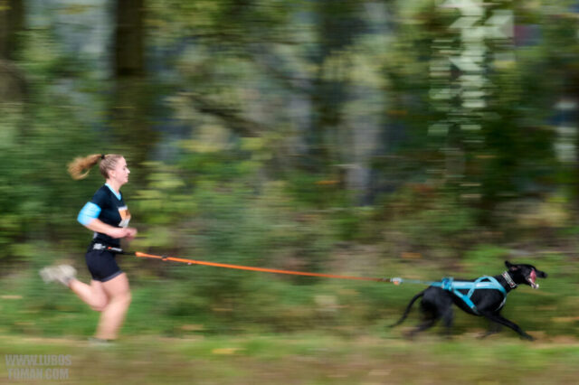 Dog Biatlon Brandys nad Labem 2025