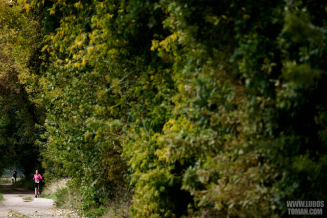 Dog Biatlon Brandys nad Labem 2025