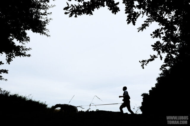 Dog Biatlon Brandys nad Labem 2025