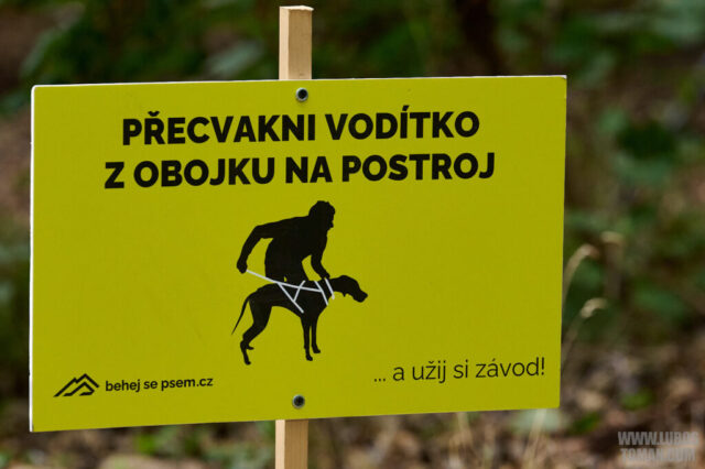 Dog Biatlon Brandys nad Labem 2025