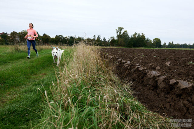 Dog Biatlon Brandys nad Labem 2025