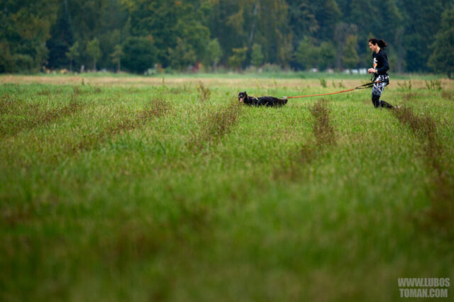 Dog Biatlon Brandys nad Labem 2025