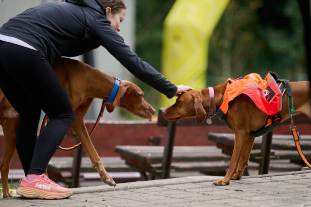 Dog Biatlon Brandys nad Labem 2025