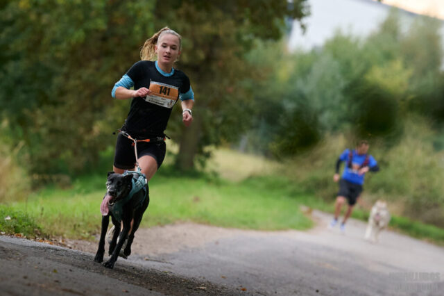 Dog Biatlon Brandys nad Labem 2025