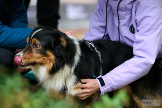 Dog Biatlon Brandys nad Labem 2025