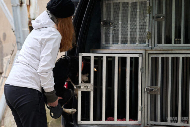 Dog Biatlon Brandys nad Labem 2025